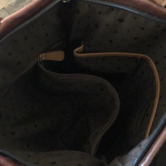 A Fossil Worth Looking At - Picture 6 of 8